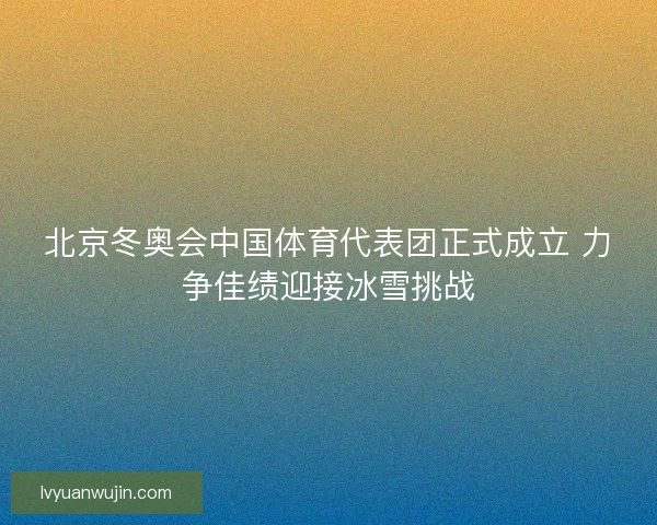 北京冬奥会中国体育代表团正式成立 力争佳绩迎接冰雪挑战