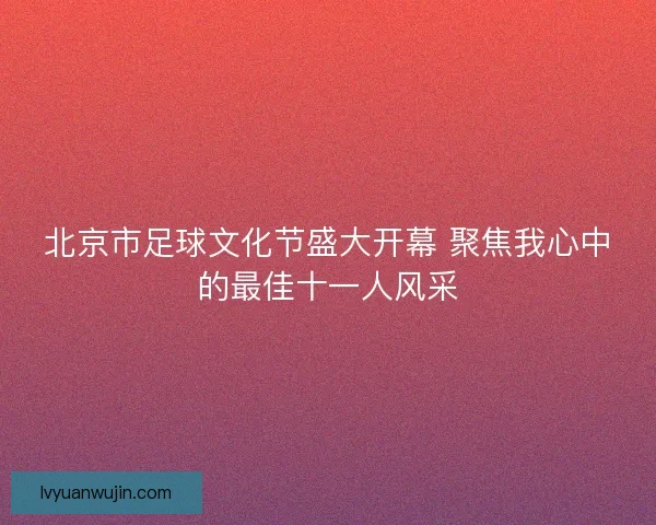 北京市足球文化节盛大开幕 聚焦我心中的最佳十一人风采